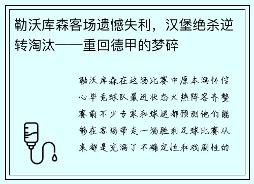 勒沃库森客场遗憾失利，汉堡绝杀逆转淘汰——重回德甲的梦碎